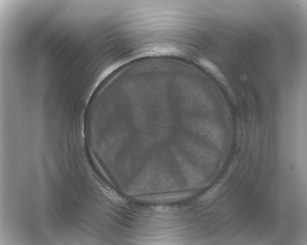 X0000065981226200603241931