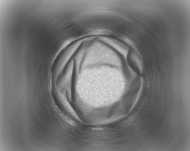 X0000065981227200603241931