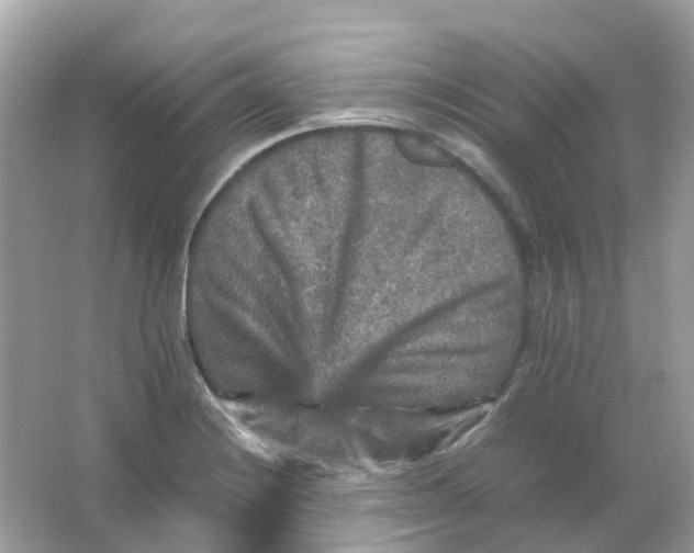 X0000065981228200603241931