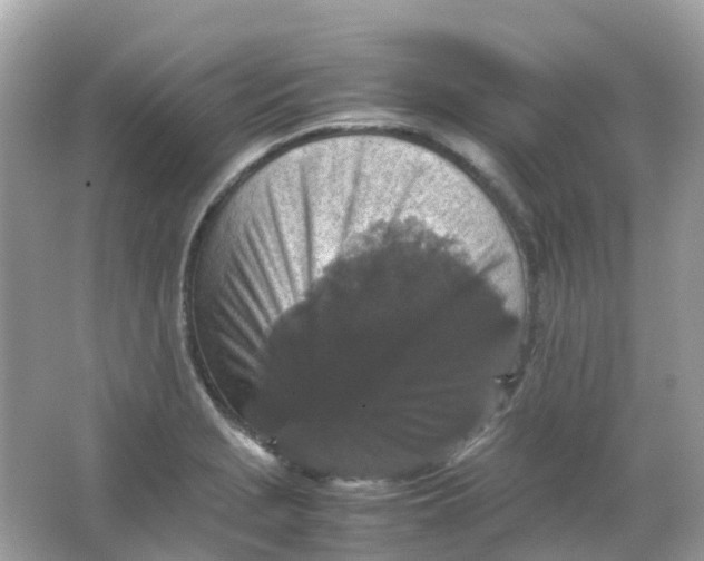 X0000065981229200603241931