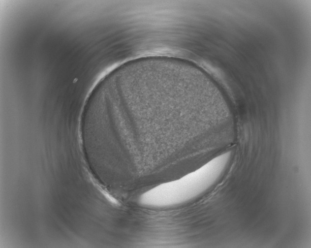 X0000065981230200603241931