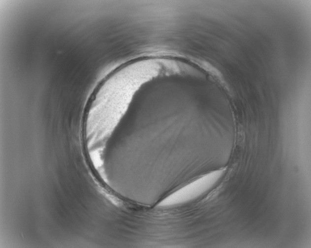 X0000065981231200603241931