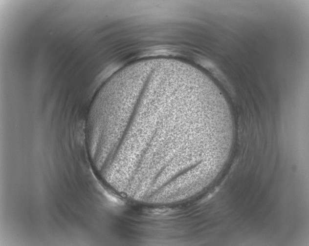 X0000065981233200603241931