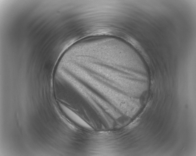 X0000065981234200603241931