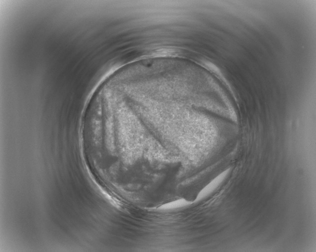 X0000065981235200603241931