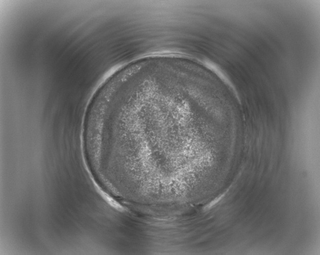 X0000065981237200603241931