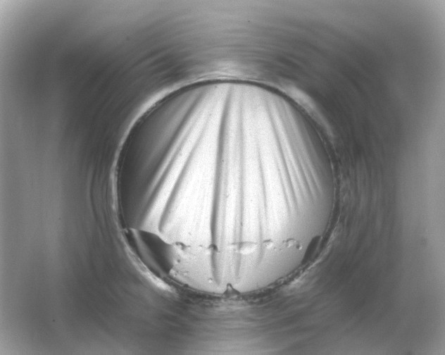 X0000065981238200603241931