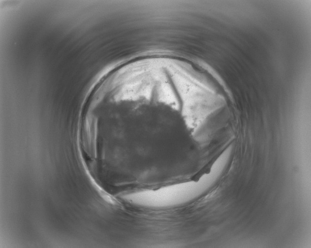 X0000065981245200603241931