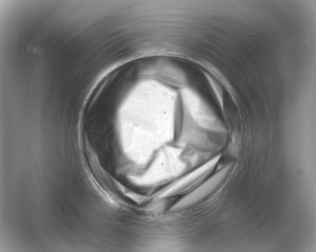 X0000065981246200603241931