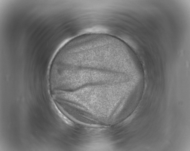 X0000065981248200603241931