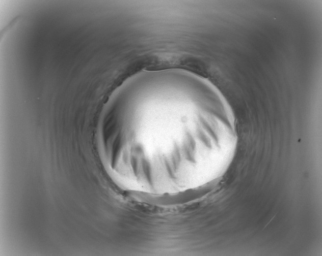 X0000065981249200603241930