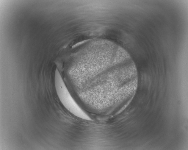 X0000065981250200603241930