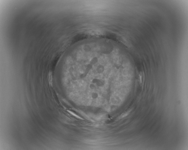 X0000065981251200603241930