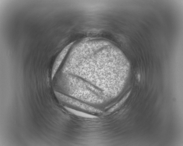 X0000065981252200603241930