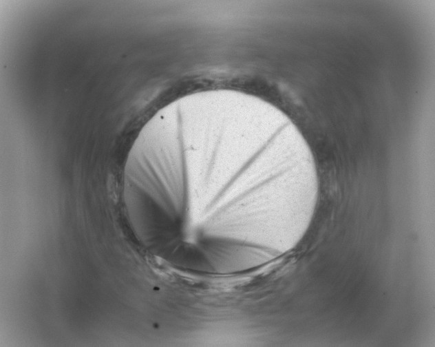 X0000065981253200603241930