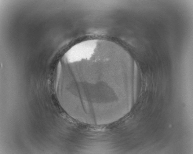 X0000065981254200603241930