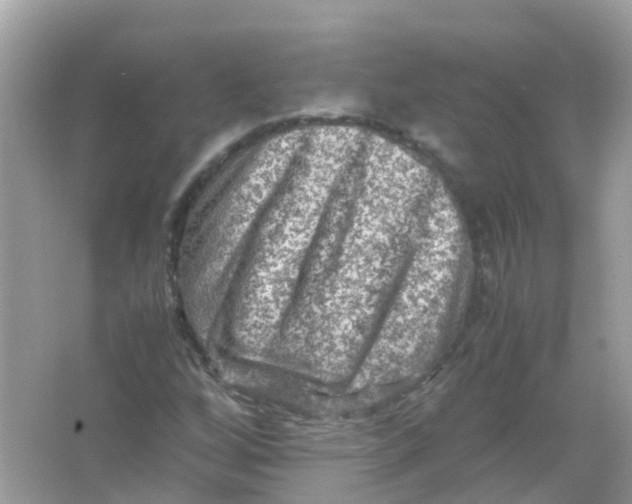 X0000065981256200603241930