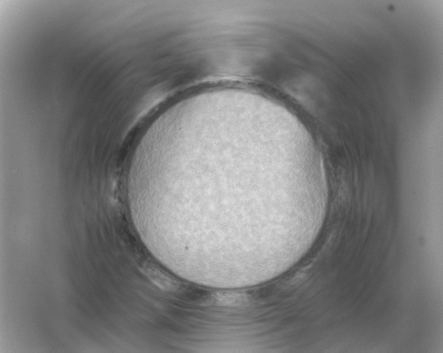 X0000065981258200603241930