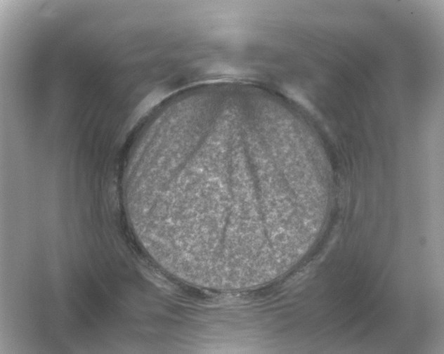 X0000065981259200603241930