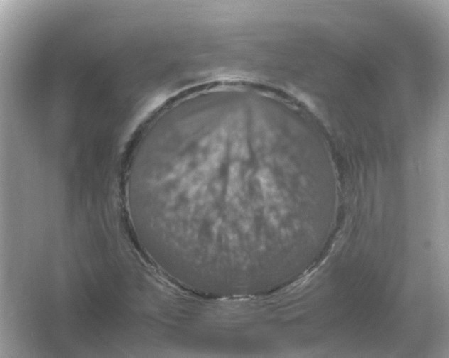 X0000065981263200603241930