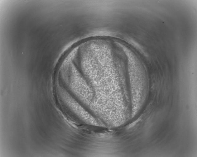 X0000065981264200603241930