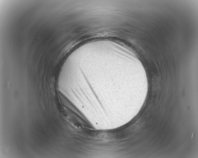 X0000065981265200603241930