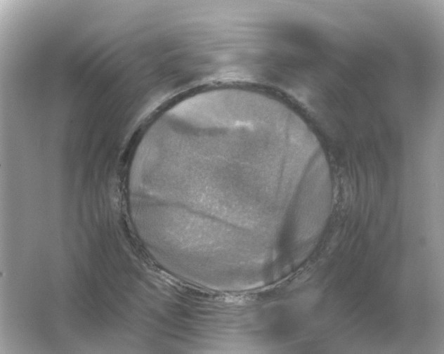 X0000065981266200603241930