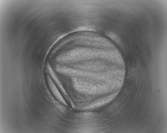 X0000065981268200603241930