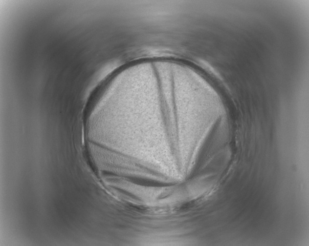 X0000065981269200603241930