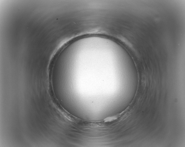 X0000065981270200603241930