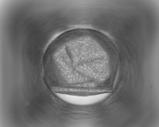 X0000065981271200603241930