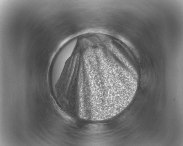 X0000065981272200603241930