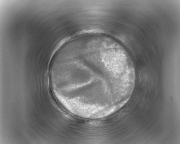 X0000065981274200603241930