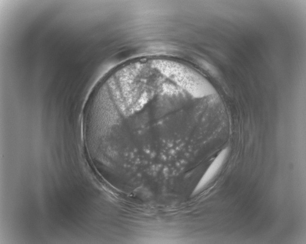 X0000065981275200603241930