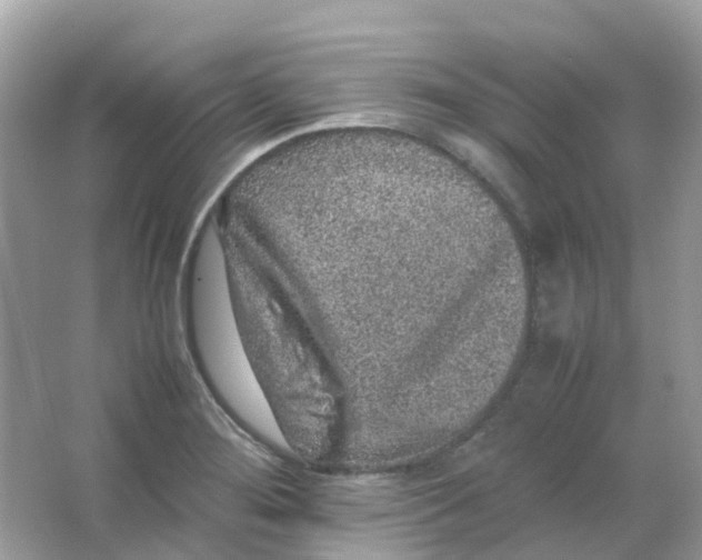 X0000065981276200603241930