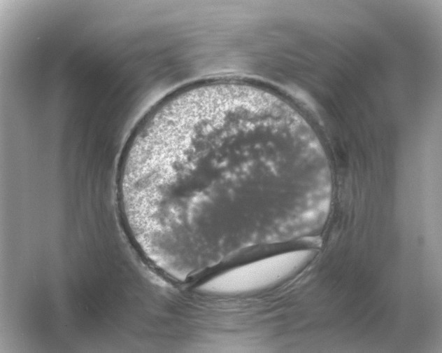 X0000065981279200603241930