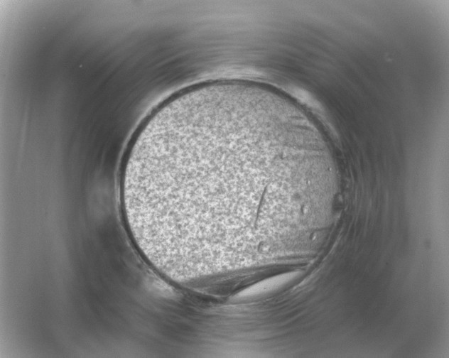 X0000065981280200603241930