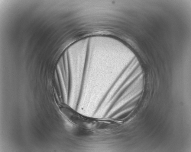 X0000065981281200603241930