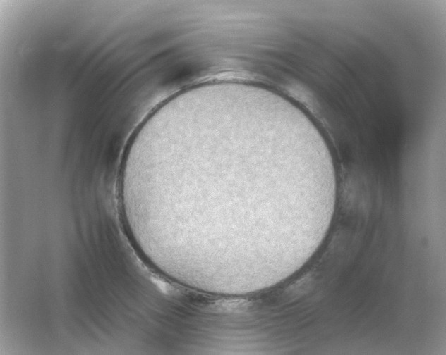 X0000065981282200603241930