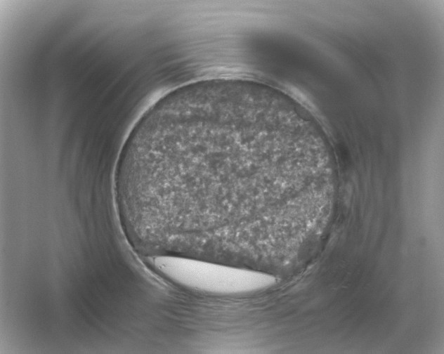 X0000065981283200603241930