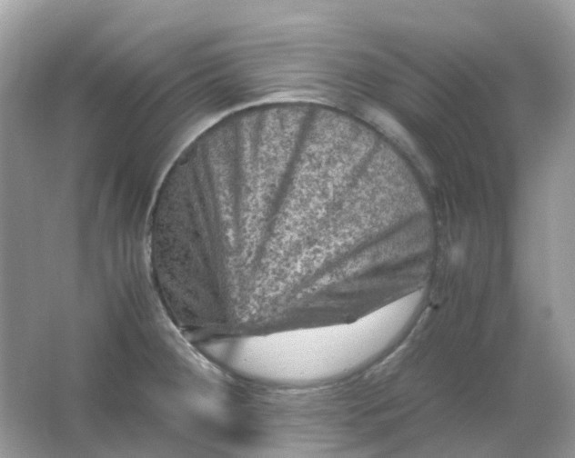 X0000065981284200603241930