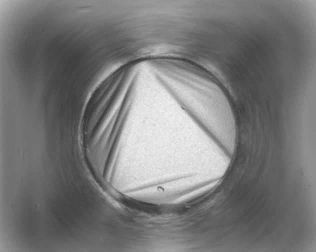 X0000065981285200603241930