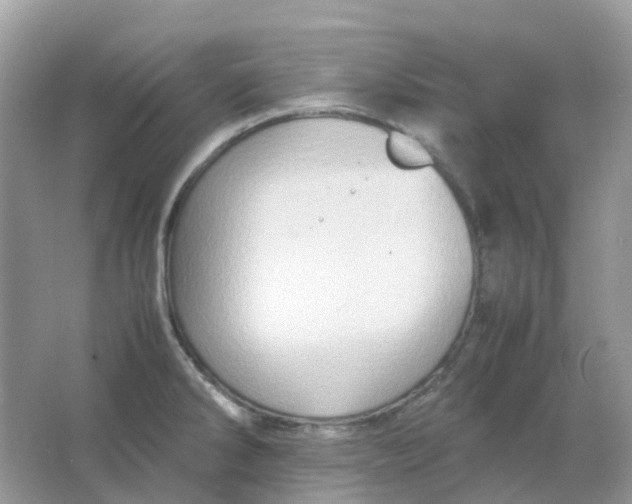 X0000065981286200603241930