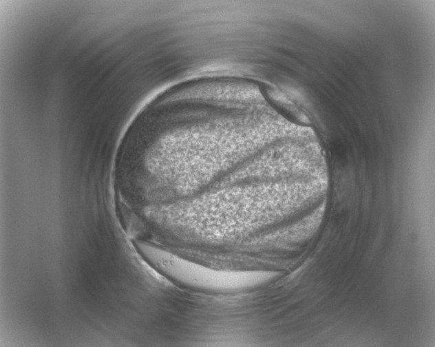 X0000065981288200603241930