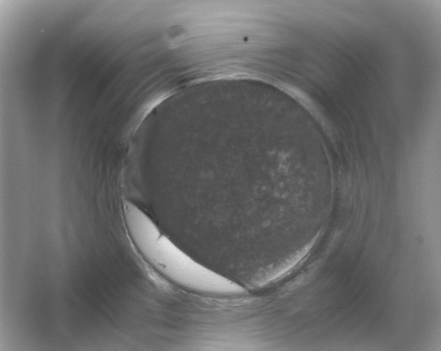 X0000065981289200603241930