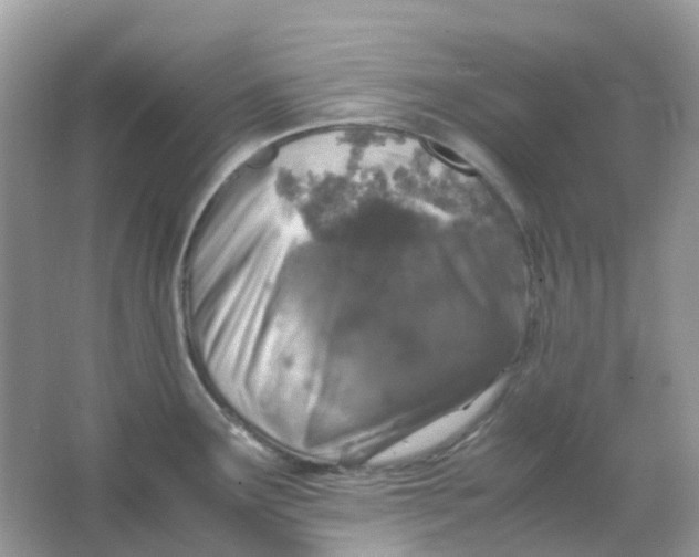 X0000065981291200603241930