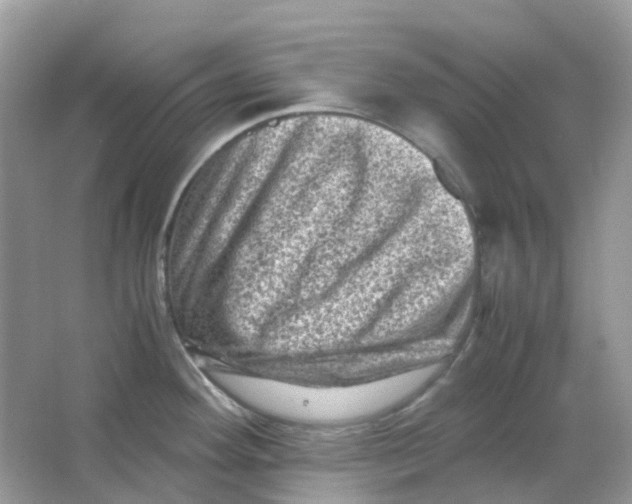 X0000065981292200603241930