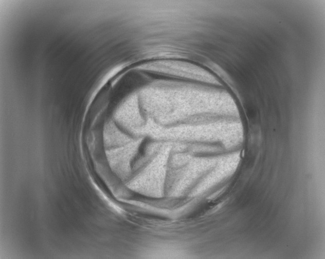 X0000065981293200603241929