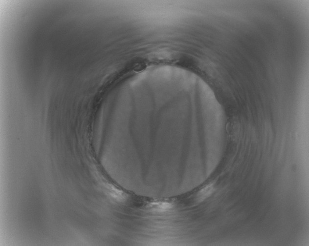 X0000065981297200603241929