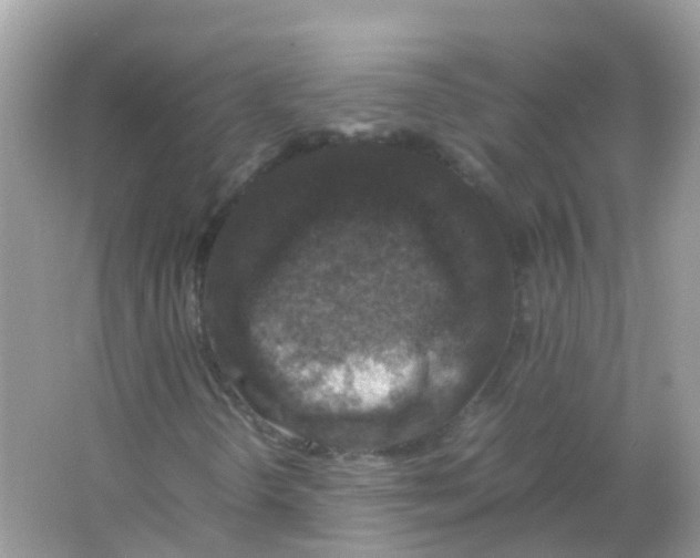 X0000065981298200603241929